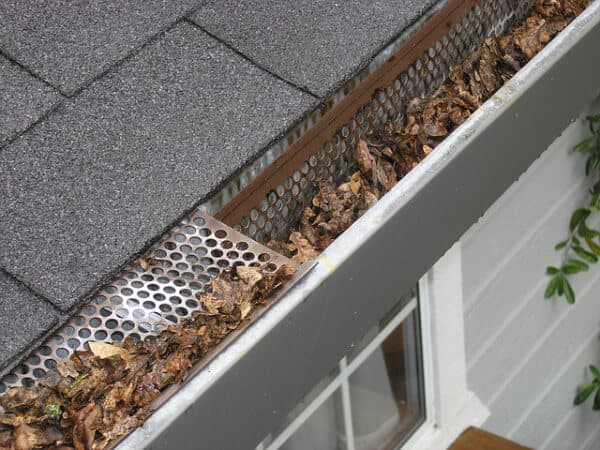 leaf guard in gutter